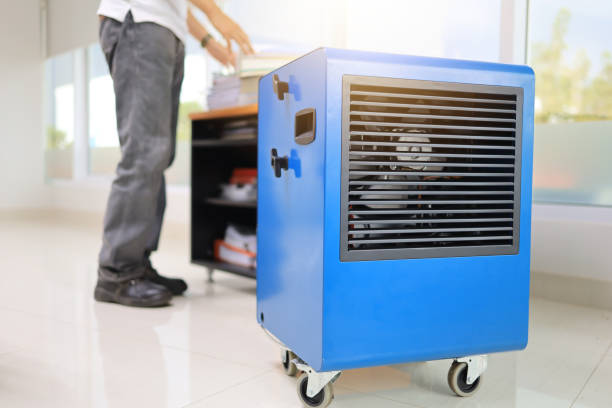 Best Environmental Consulting for Mold Prevention  in Hidalgo, TX