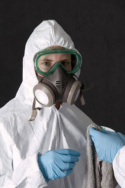 Best Residential Mold Inspection & Testing  in Hidalgo, TX